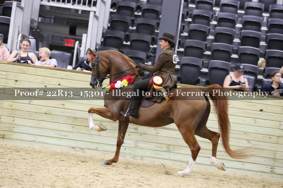 Proof 22R13_15301