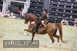 22R13_15301 proof