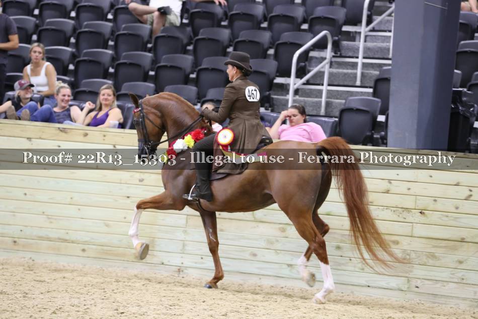 Proof 22R13_15303