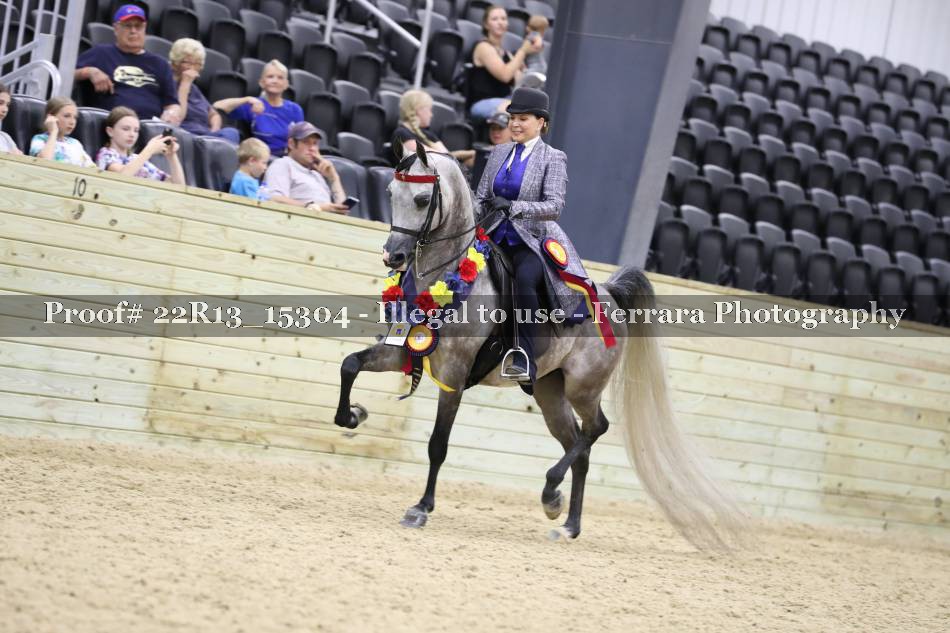 Proof 22R13_15304