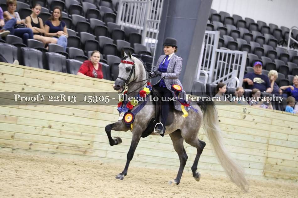 Proof 22R13_15305