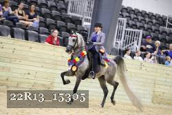 22R13_15305 proof