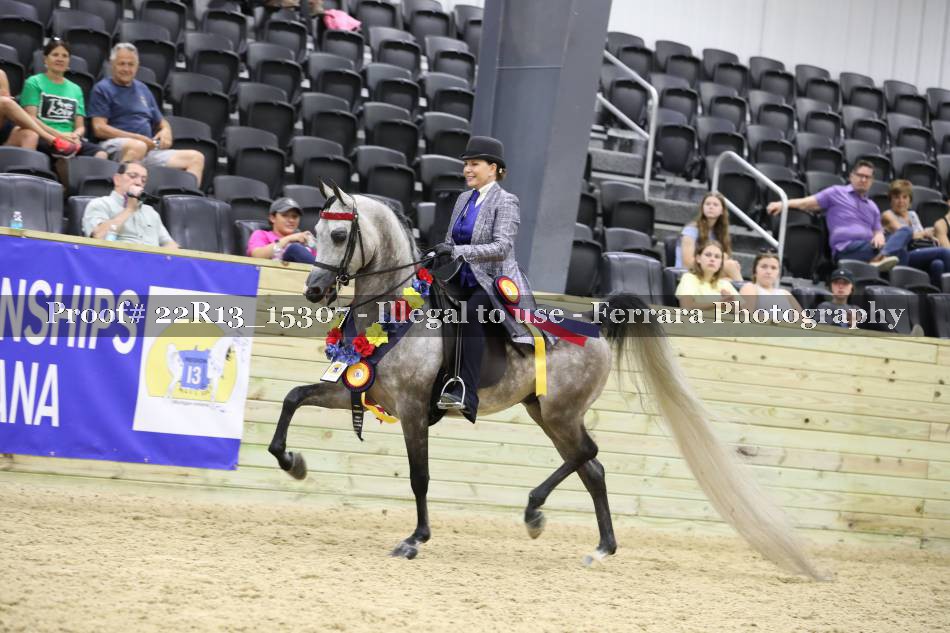 Proof 22R13_15307