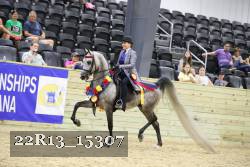22R13_15307 proof