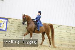 22R13_15319 proof