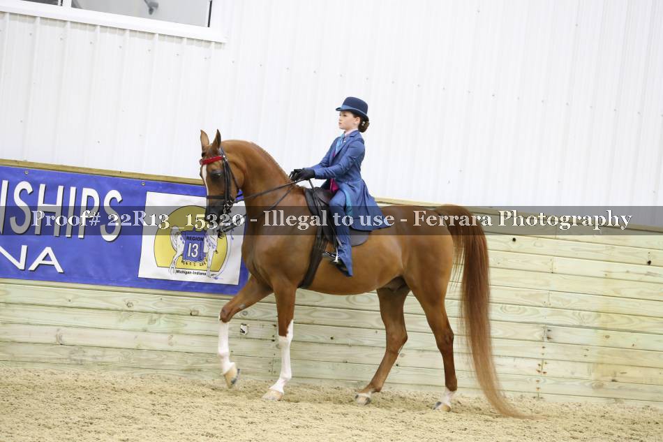 Proof 22R13_15320