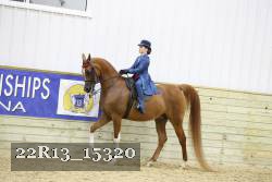 22R13_15320 proof