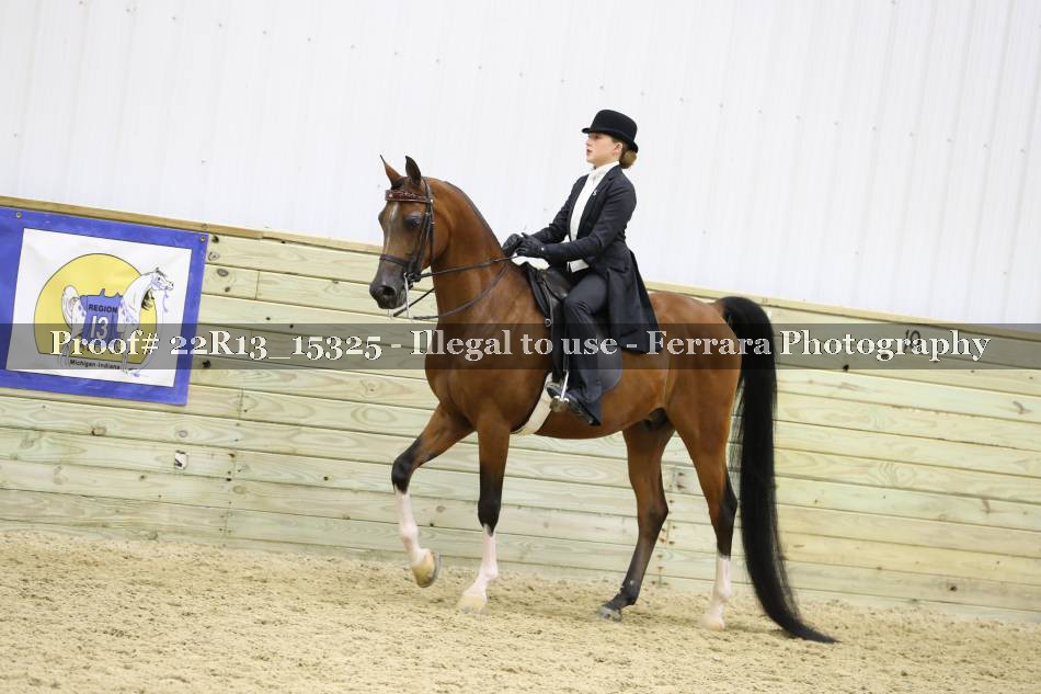 Proof 22R13_15325