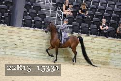 22R13_15331 proof
