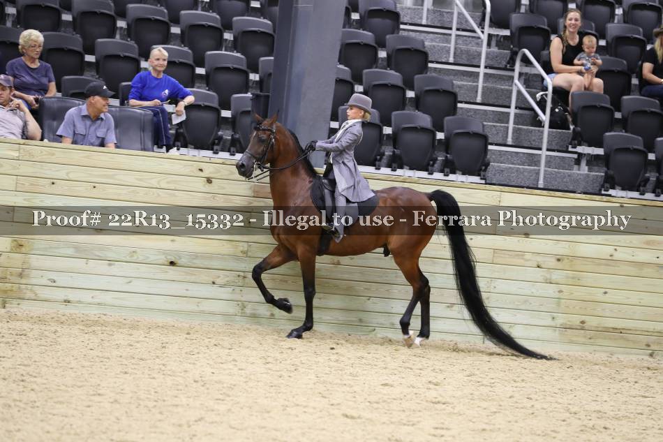Proof 22R13_15332