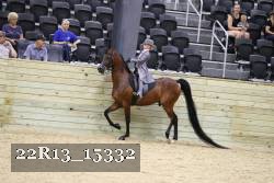 22R13_15332 proof