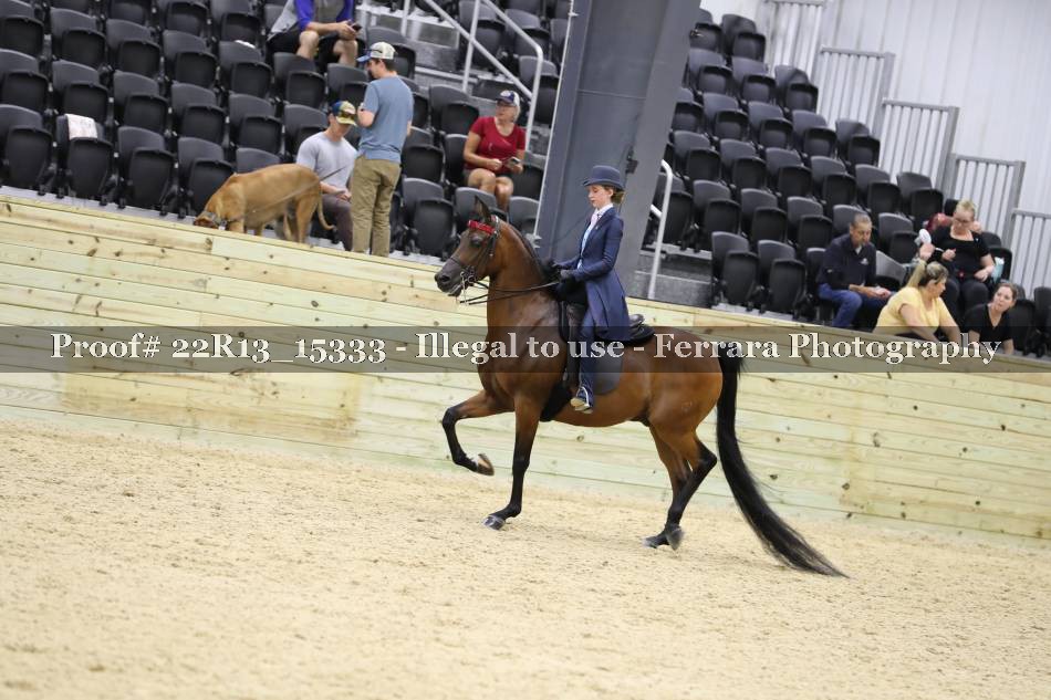 Proof 22R13_15333