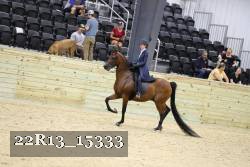 22R13_15333 proof
