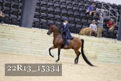 22R13_15334 proof