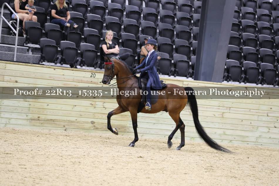 Proof 22R13_15335
