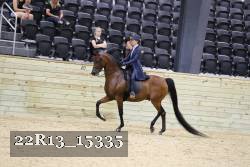 22R13_15335 proof