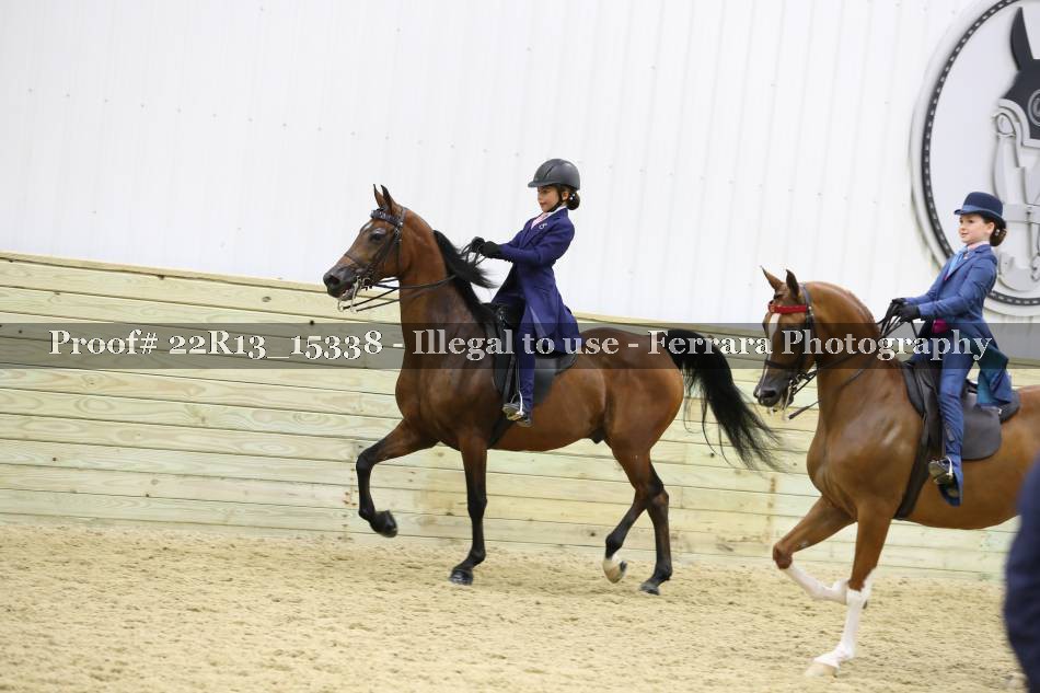 Proof 22R13_15338