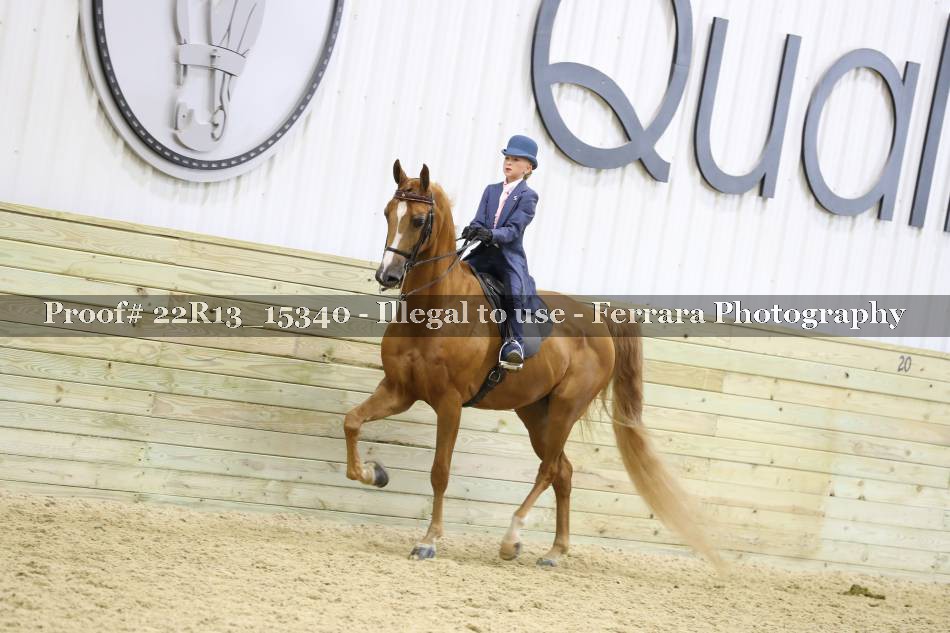 Proof 22R13_15340