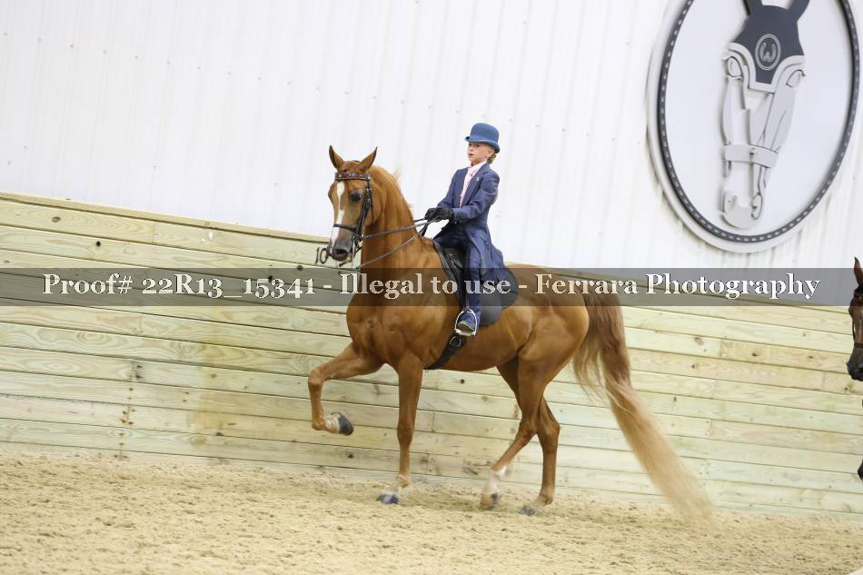 Proof 22R13_15341