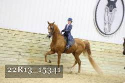 22R13_15341 proof