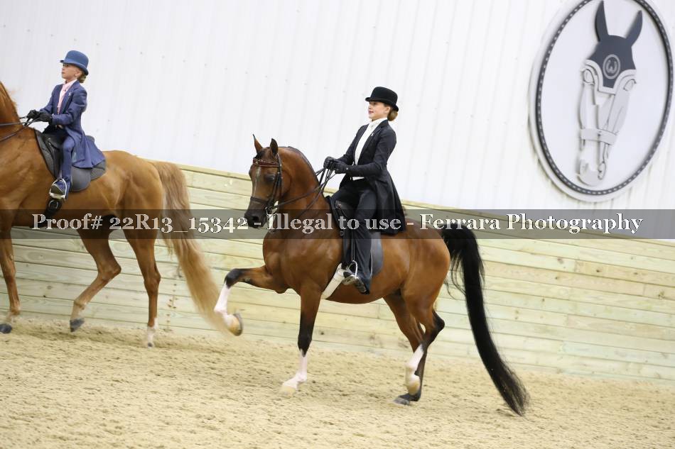 Proof 22R13_15342