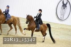 22R13_15342 proof