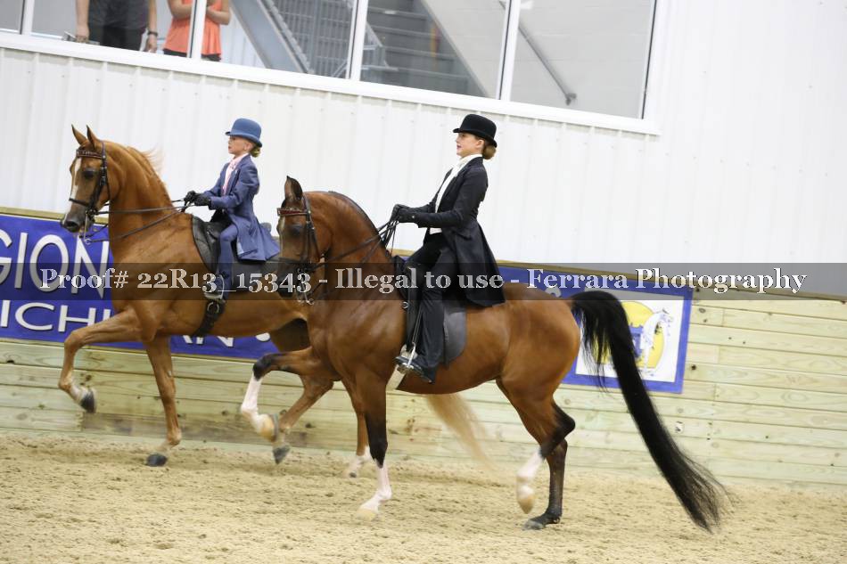 Proof 22R13_15343