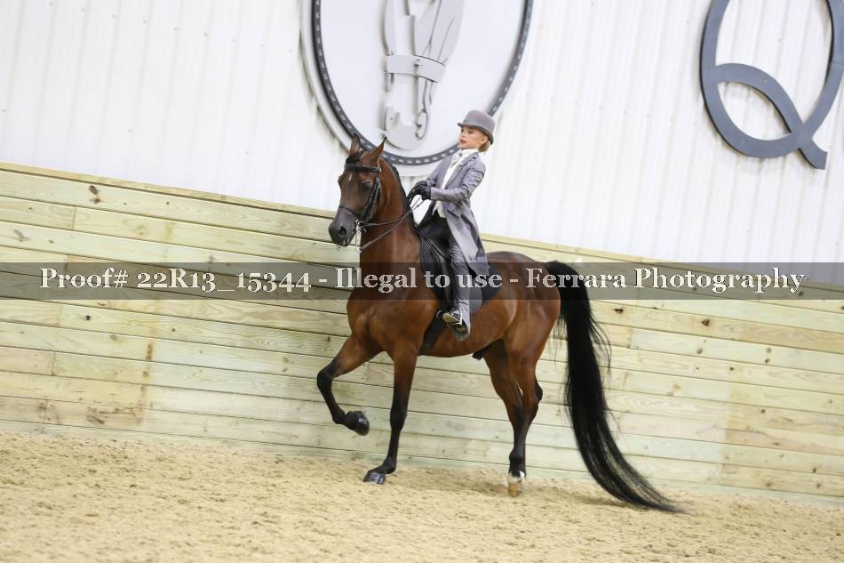 Proof 22R13_15344