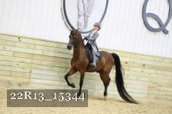 22R13_15344 proof