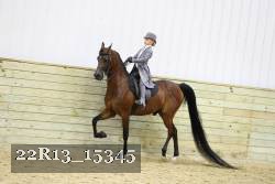 22R13_15345 proof