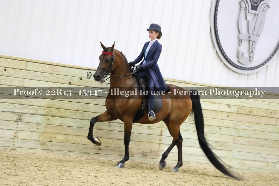Proof 22R13_15347