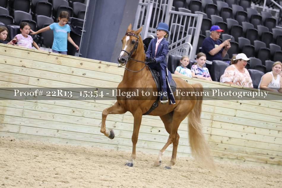 Proof 22R13_15354