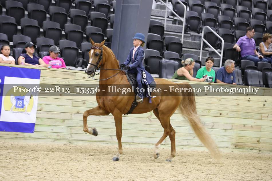 Proof 22R13_15356
