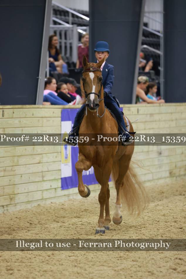 Proof 22R13_15359