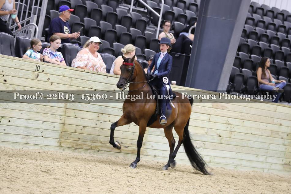 Proof 22R13_15360