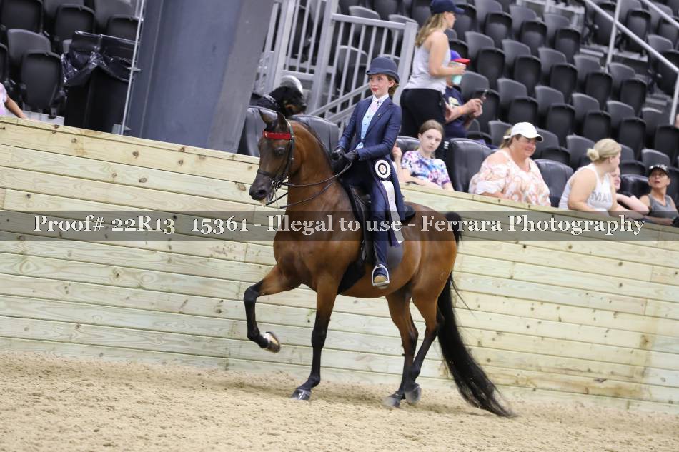 Proof 22R13_15361
