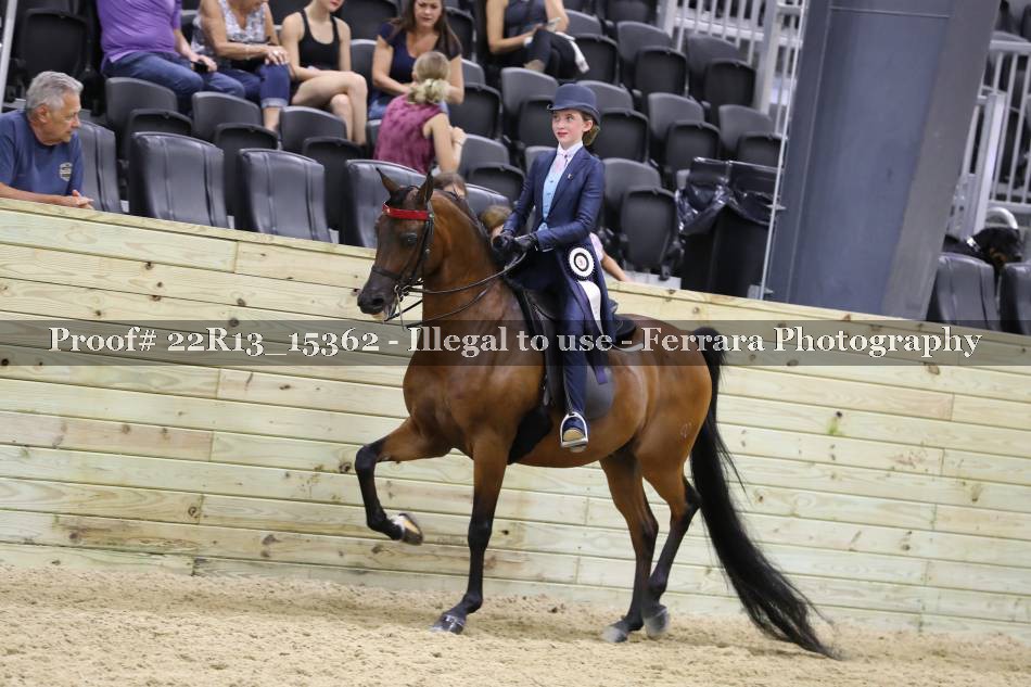 Proof 22R13_15362