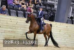22R13_15362 proof