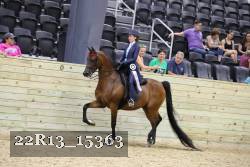 22R13_15363 proof