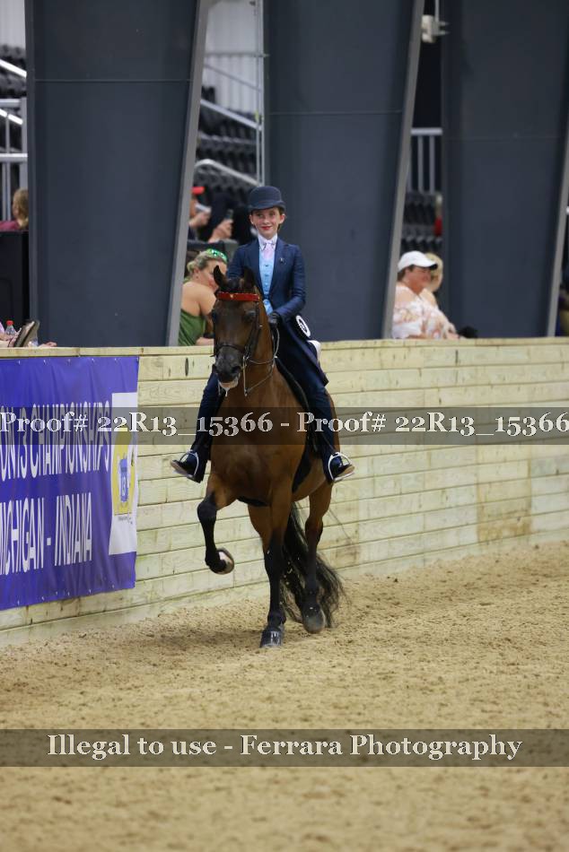 Proof 22R13_15366