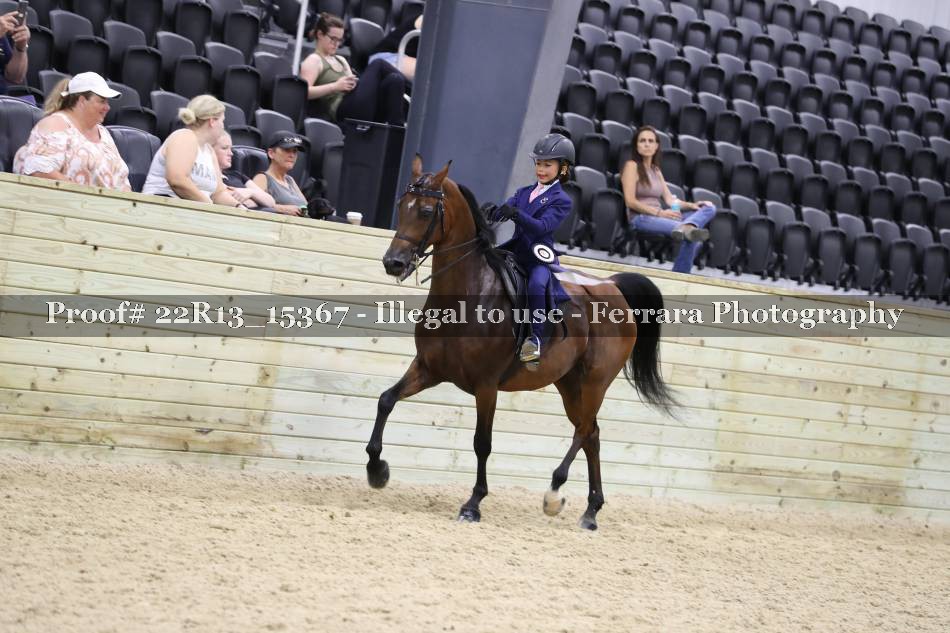 Proof 22R13_15367