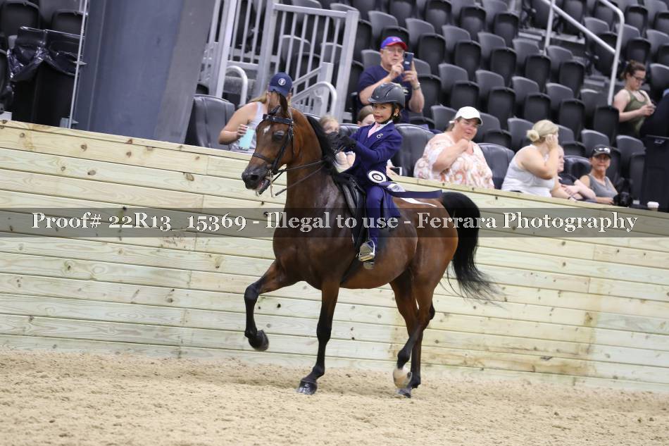 Proof 22R13_15369