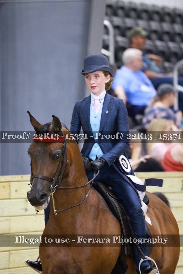 Proof 22R13_15371