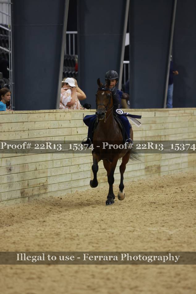 Proof 22R13_15374