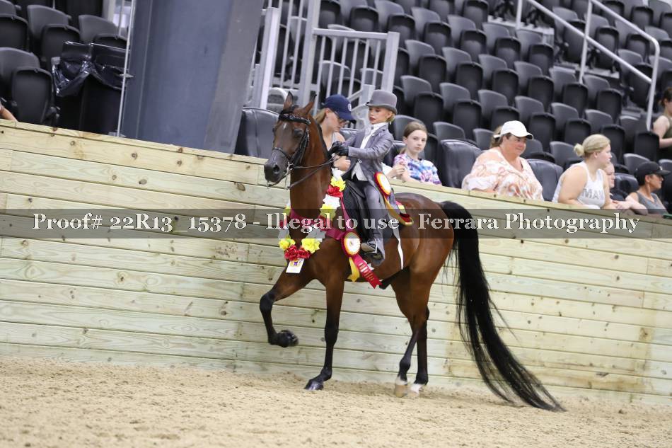 Proof 22R13_15378