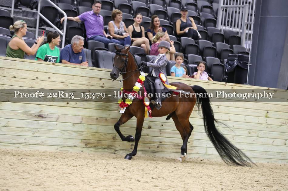 Proof 22R13_15379