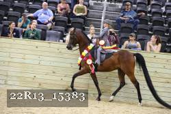 22R13_15383 proof