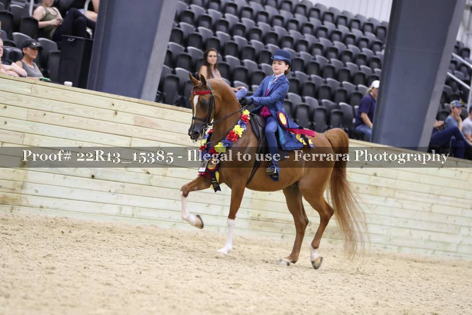 Proof 22R13_15385