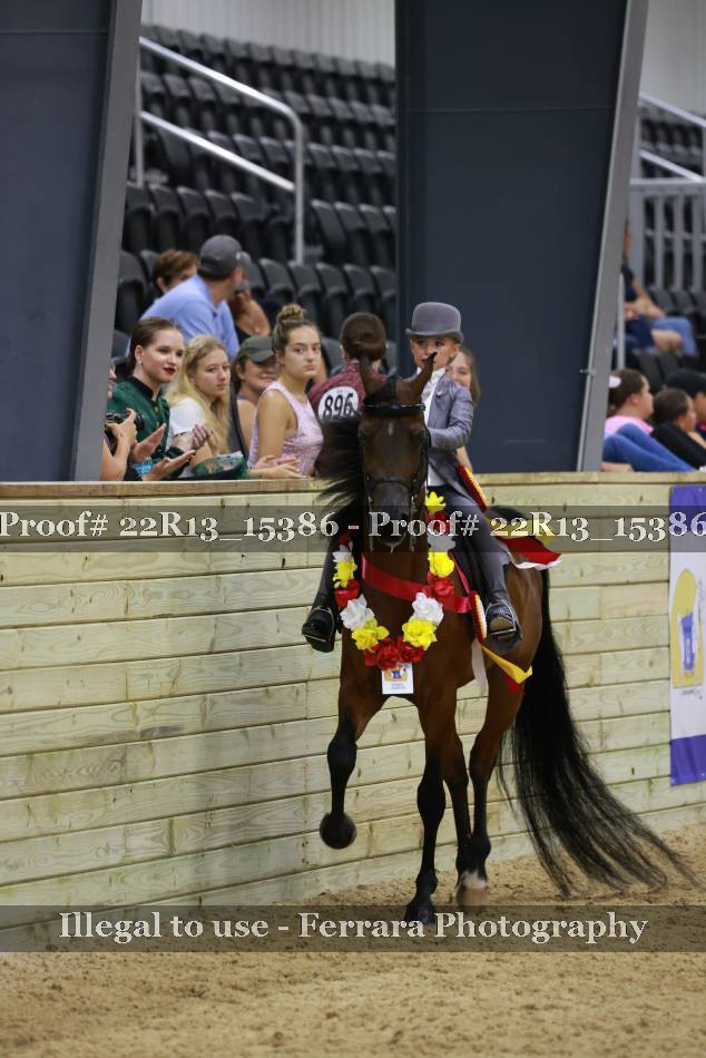 Proof 22R13_15386