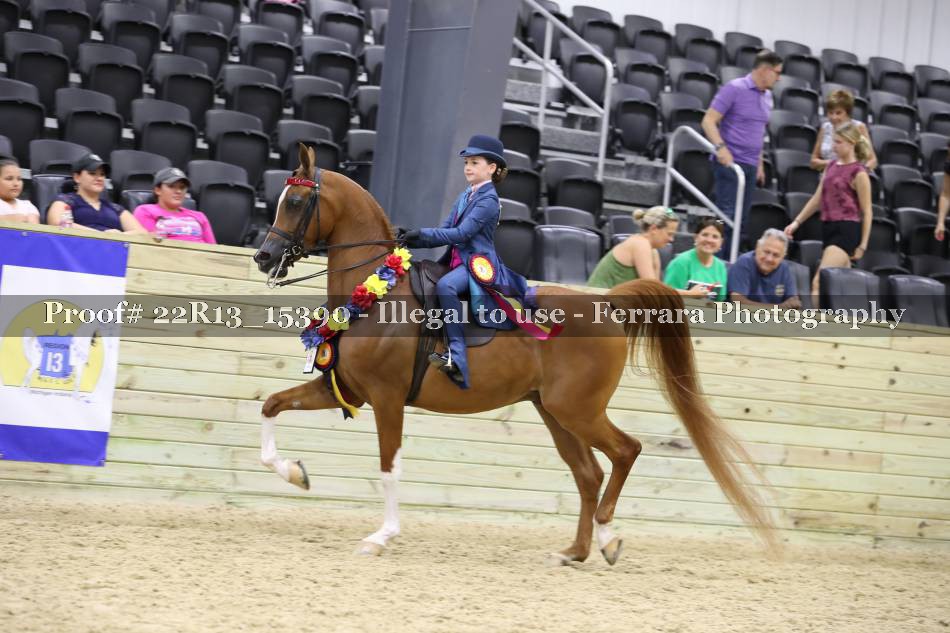 Proof 22R13_15390